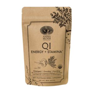 qi energy stamina.jpg
